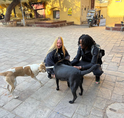 India wildlife