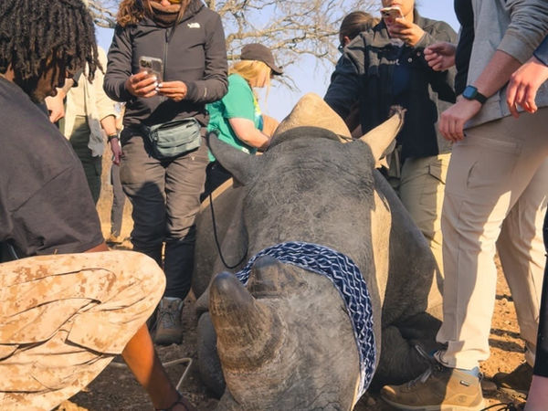 Wildlife field work in Kruger National Park