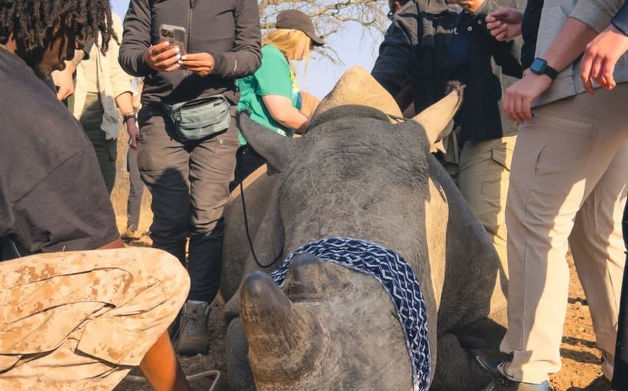 Kruger fieldwork